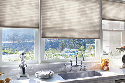 Hunter Douglas Duette